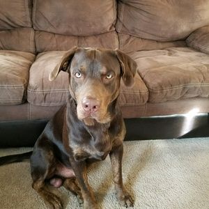 Meet your Posher, Bonnie